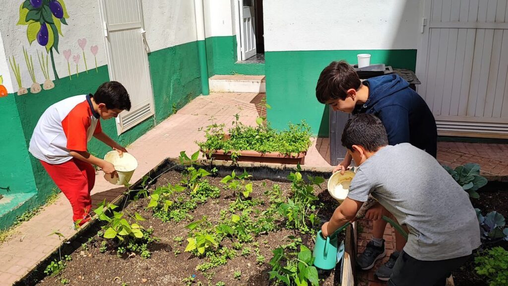 El Huerto Escolar Salesiano Un Espacio Para Aprender A Pensar Y Educar