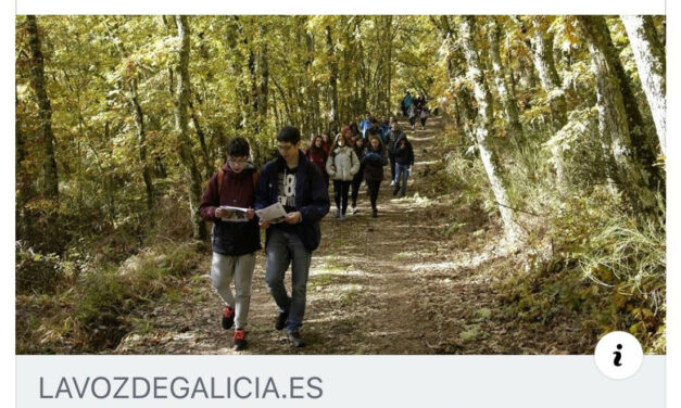 El colegio Salesianos Ourense, premiado por cuidar el medioambiente