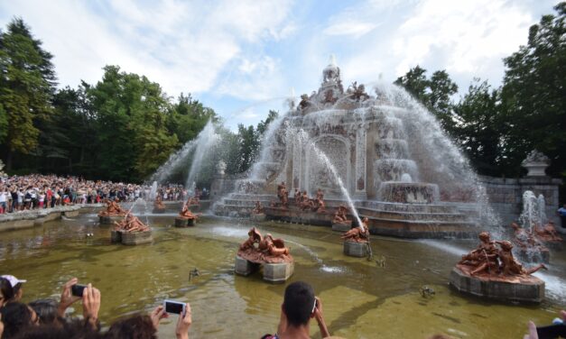 Familia Salesiana en salida
