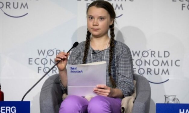 Las trenzas de Greta