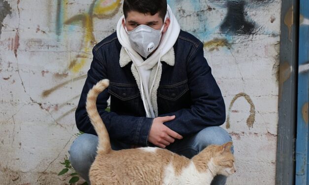 Un virus para educar