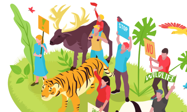 Desde Don Bosco Green Alliance: Repensar, Reconectarse y Renovar