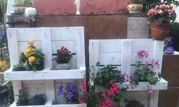 Pensando en ti, como quien mira a sus flores en primavera