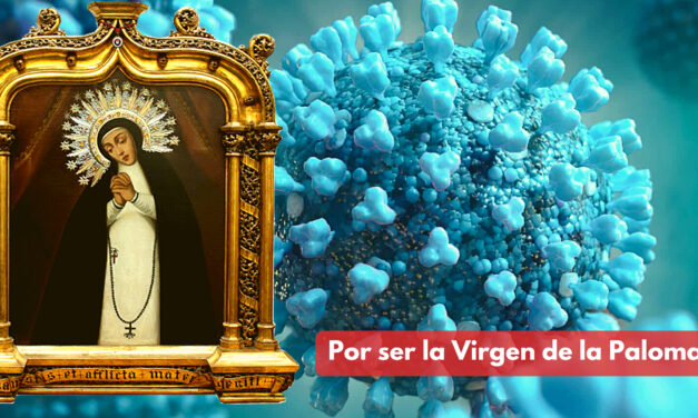 “Por ser la Virgen de la Paloma”