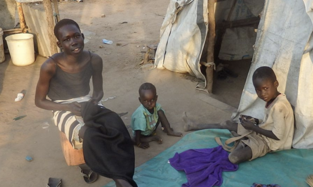 Sudán del Sur, diez años de guerra y hambre