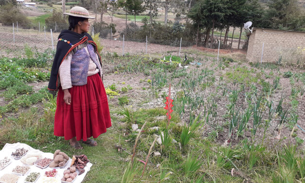 Independencia económica y productiva de las mujeres indígenas en Bolivia