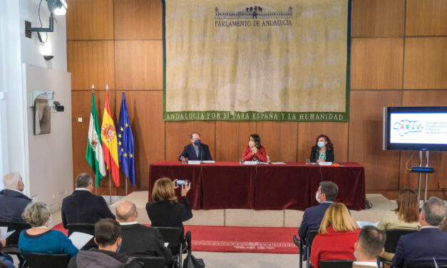 Presentada la Plataforma de Organizaciones de Entidades de Infancia de Andalucía en el Parlamento Andaluz