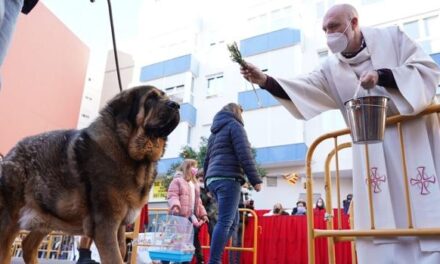 La bendición de animales por San Antonio Abad regresa tras dos años a las calles de Valencia