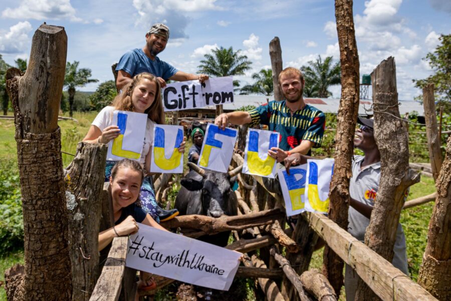 ZMB - A cow for Ukraine 1