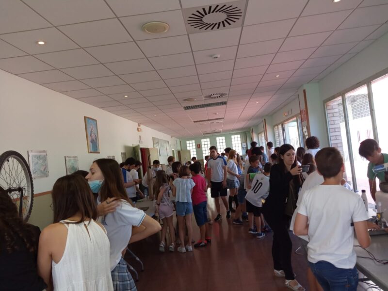 Zaragoza Junior Premio DB