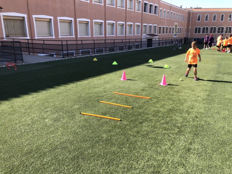 mataro3