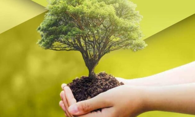 «Els Salesians en camí cap a un món sostenible des de la perspectiva de l’ecologia integral»