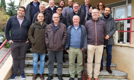 El Sector de la Pastoral Juvenil de Roma y el Centro Nacional Salesiano proyectan juntos en Madrid