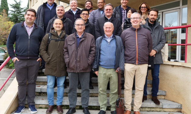 El Sector de la Pastoral Juvenil de Roma y el Centro Nacional Salesiano proyectan juntos en Madrid