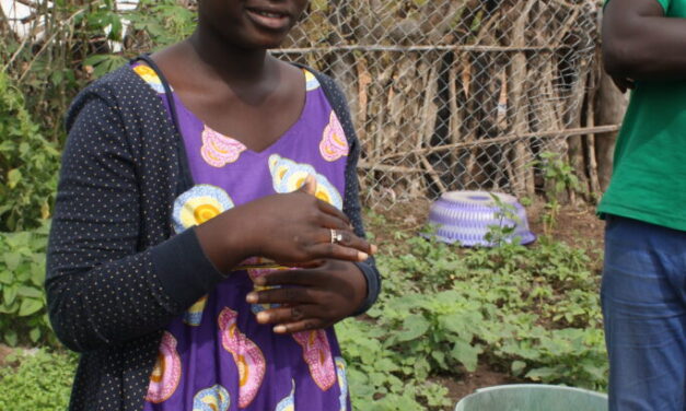 Bosco Global visita Senegal i Ghana per fer seguiment de projectes i plantejar nous reptes