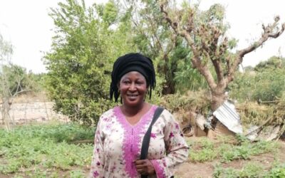 Bosco Global impulsa els horts agroecològics al Senegal