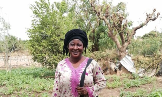 Bosco Global impulsa els horts agroecològics al Senegal