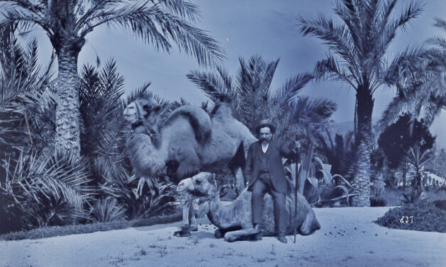 Ja es pot consultar en línia la col·lecció d’unes 700 fotografies de Martí-Codolar (1870 – 1905)