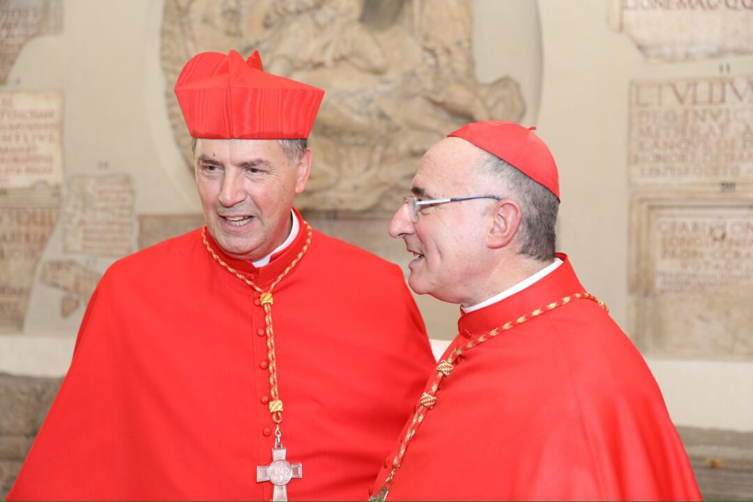 Buenos Deseos Y Apoyo Universal Al Nuevo Cardenal Ángel Fernández ...