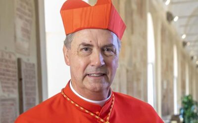 Primer nombramiento en la Curia Romana para el Cardenal Ángel Fernández Artime