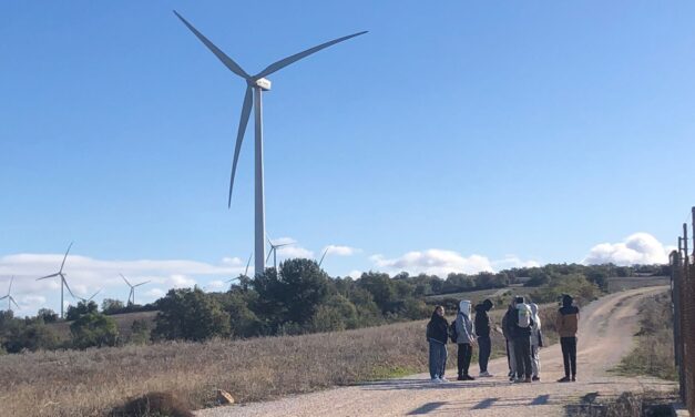 Salesianos Terrassa visita el Parque Eólico de Montargull