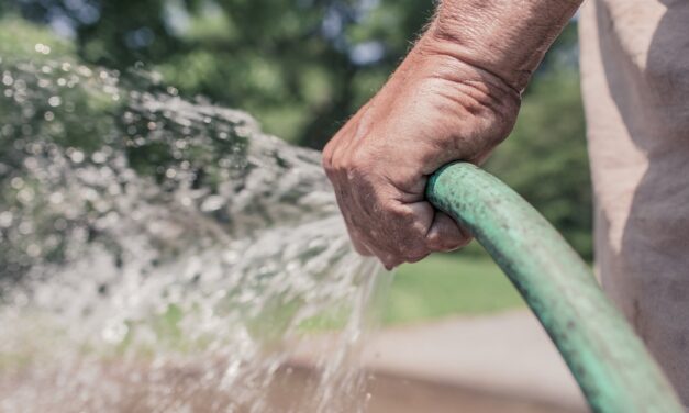 La estrategia del jardinero  