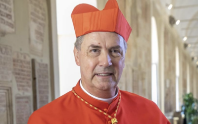 Assignació de Seu titular i ordenació episcopal del cardenal Fernández Artime