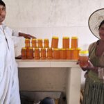 Mejorando salud y derechos humanos a partir de la miel