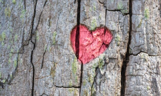 Amor sin retorno