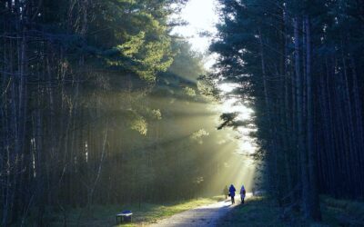 El despertar de una espiritualidad no religiosa