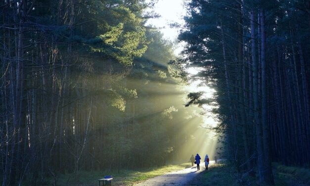 El despertar de una espiritualidad no religiosa