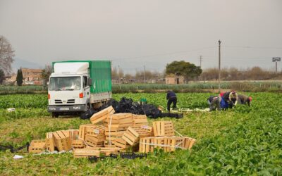 ‘Comienza el desplazamiento de las temporeras marroquíes a España’