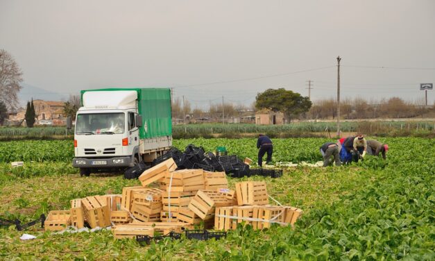 ‘Comienza el desplazamiento de las temporeras marroquíes a España’