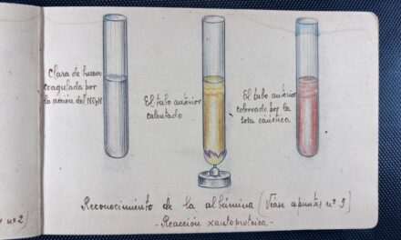 Conservación de los cuadernos de “don Ino”