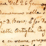 Una pequeña hoja