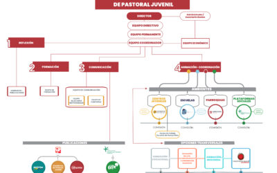 Nuevos nombramientos para responsabilidades de ámbito nacional