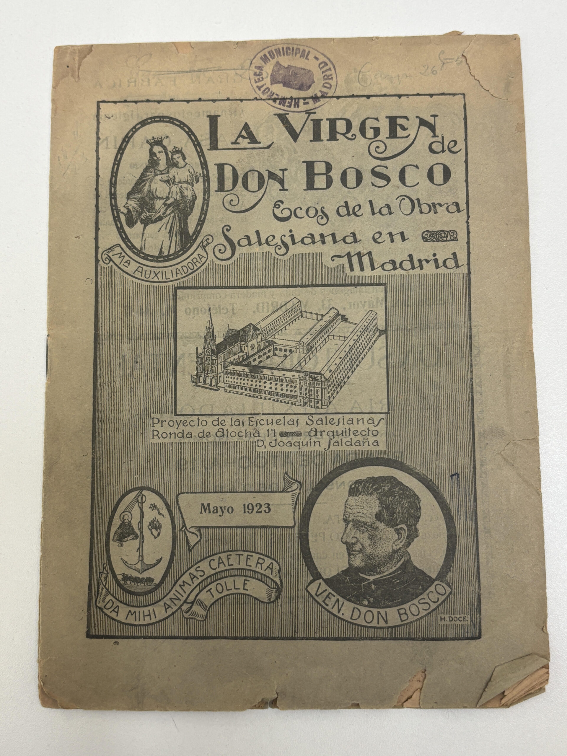 la virgen de Don Bosco