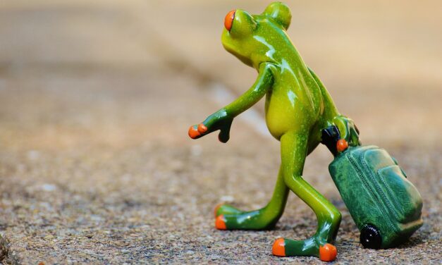 Cuando los hijos se van