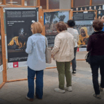 Localidades navarras acogen la muestra fotográfica “Indestructibles”