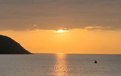 Mientras queden amaneceres