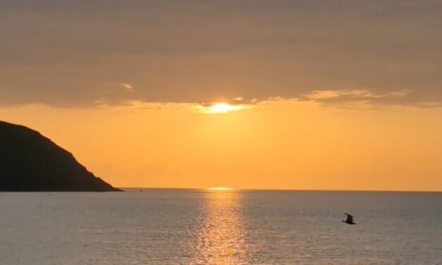 Mientras queden amaneceres