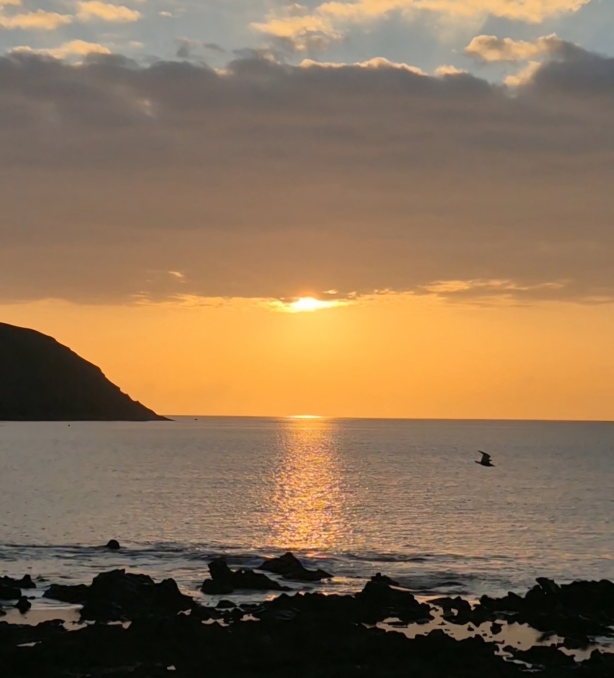 amanecer mayca rincon