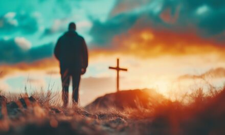 caminando por la vida