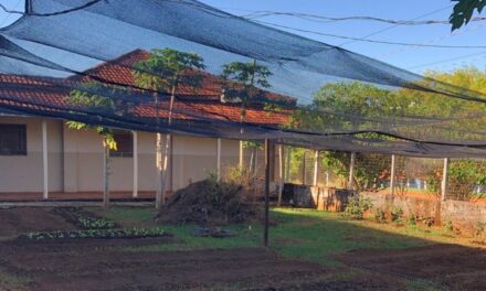 Salesianos Cooperadores de España ayudan a la creación de un oratorio en Brasil