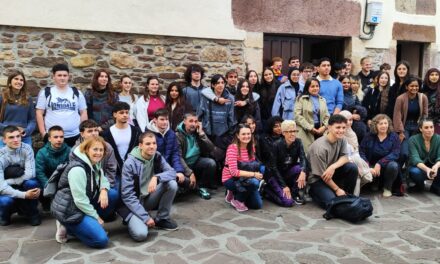 Obtención de celulosa a partir de residuos vegetales