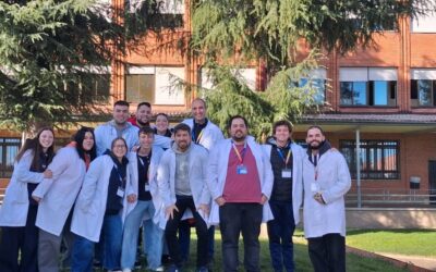 Un año mas celebramos el día internacional del voluntariado