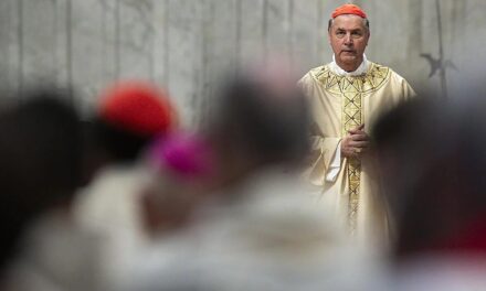 Nuevo cargo vaticano para el cardenal Ángel Fernández Artime