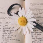 Ocho palabras para 2026