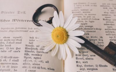 Ocho palabras para 2026