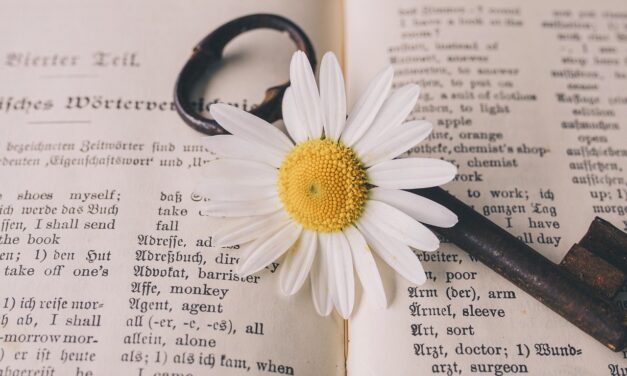 Ocho palabras para 2026